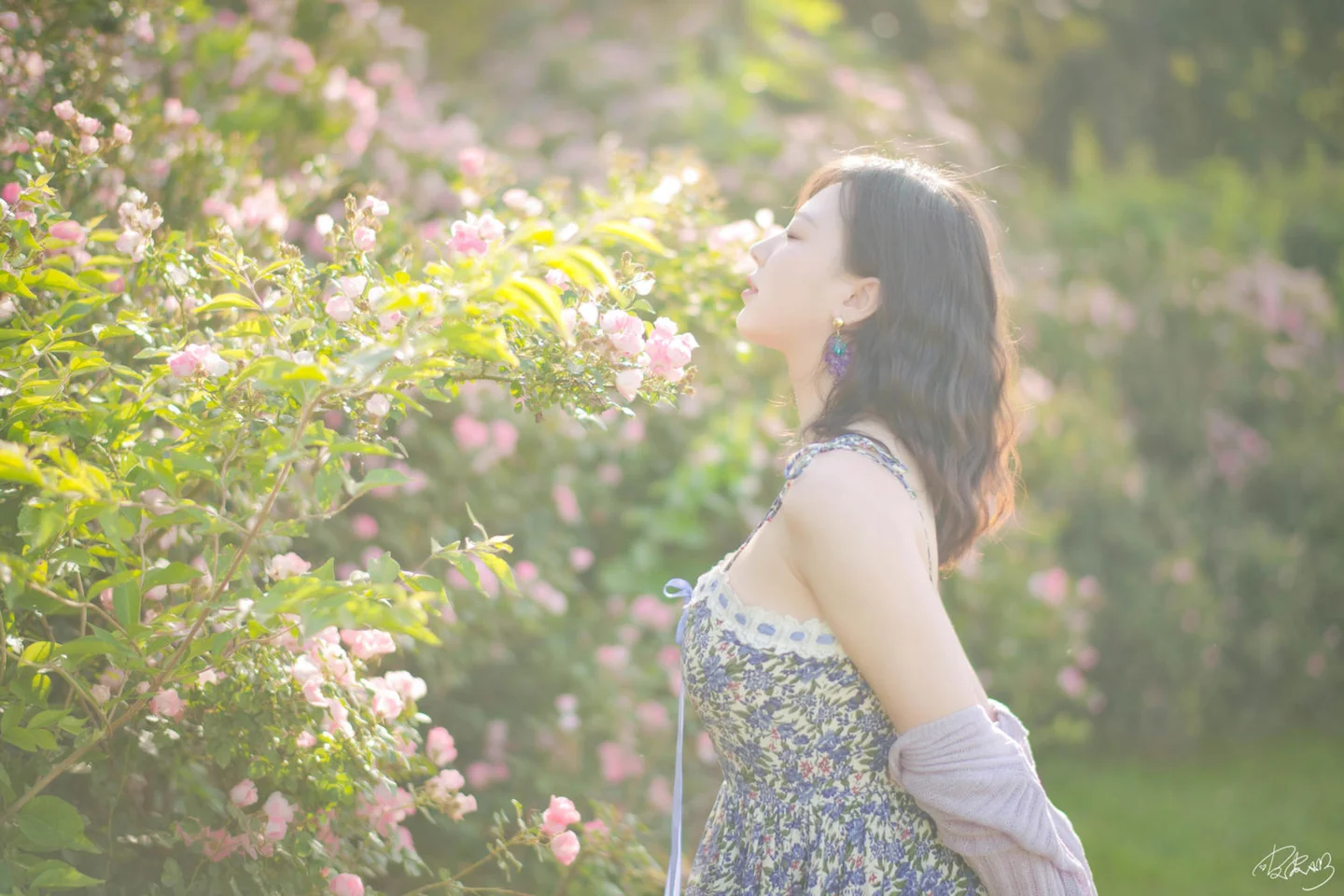 皮皮奶 - 蔷薇花 [37P-269MB] tg@simisebaisi 【丝足阁】029.webp